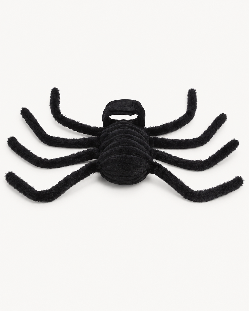 Spider Costume for Chihuahuas & Small Dogs