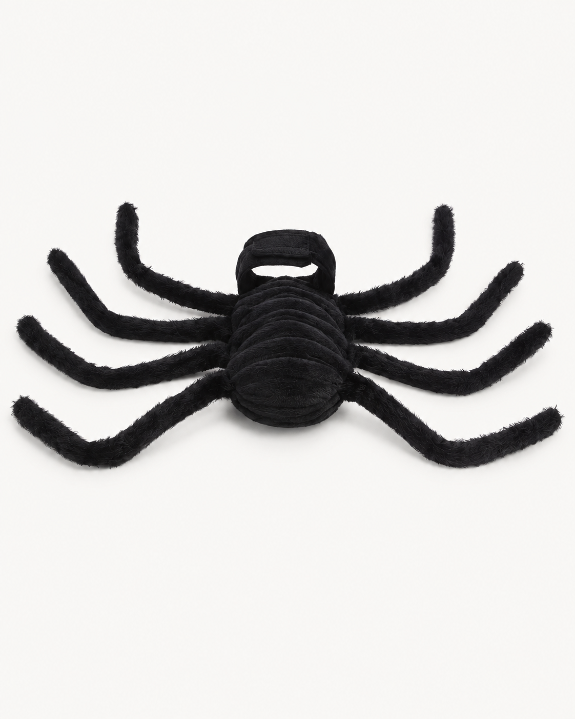 Spider Costume for Chihuahuas & Small Dogs